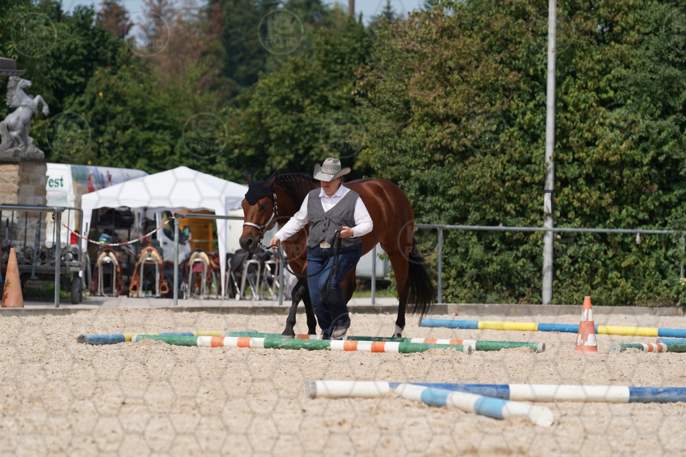 s_A9_09972.jpg